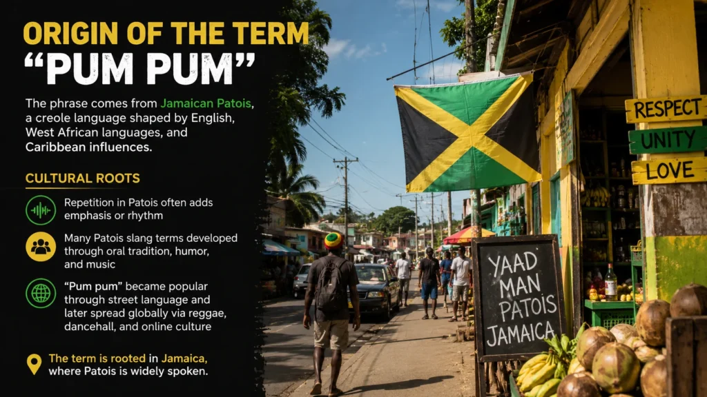 Origin of the Term “Pum Pum”