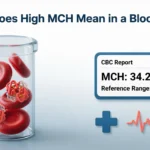 High MCH Mean in a Blood Test