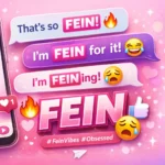 Fein Mean in Text
