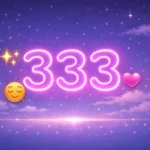 333 Mean in Text