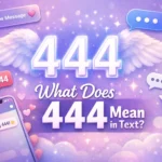 444 Mean in Text