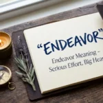 Endeavor Meaning