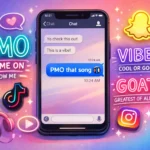 PMO Mean in Text
