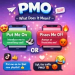 PMO Mean in Text