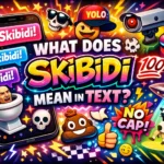 Skibidi Mean in Text